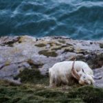 5列开奖查询最新结果实时更新 02z51