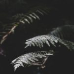 584888开奖结果揭晓,幸运号码震撼出炉 36sn78qf