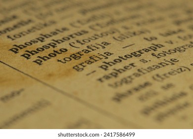 深入解析丰禾平台的功能与优势，提升农业生产效率