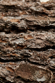 深入解析亚博娱乐网页版的优惠活动与奖励机制 深入解析亚博娱乐网页版的优惠活动与奖励机制