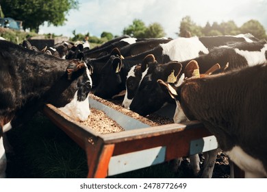 59109开奖结果最新公布，速来查看中奖详情