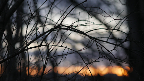 594开奖前后出号规律深度解析 594开奖前后出号规律深度解析