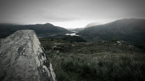 593开奖号前后关联走势分析与历史规律探讨